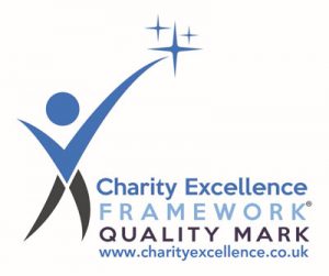 Charity Excellence Framework